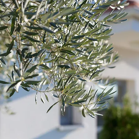 Miracle 2 With Heated Pool 빌라 *