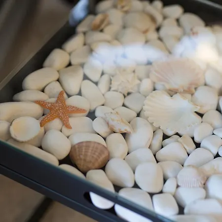 Miracle 2 With Heated Pool