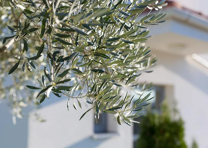 Miracle 2 With Heated Pool Villa *