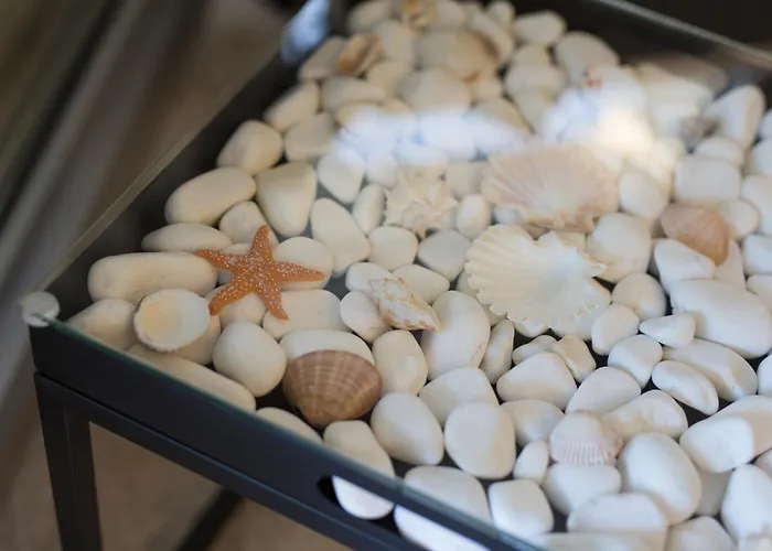 Miracle 2 With Heated Pool